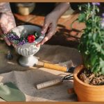 정원관리사, 꿈을 현실로 만드는 방법