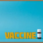 유리병: 활용법부터 분리수거까지 완벽 가이드