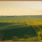 금펀드, 안전 자산 투자, 똑똑하게 시작하기