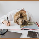 내신 등급 계산기, 어떻게 활용할까?