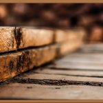 건강한 밥상, 곡물 완전 정복!