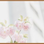 녹황당황칠 효능: 잃어버린 활력을 되찾아봐요!