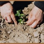 지상직 승무원, 꿈을 현실로 만드는 방법