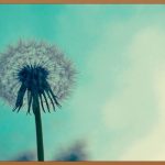 헤드앤숄더: 비듬 없는 자신감, 되찾는 여정