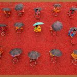 EGF고함량 크림, 꿀피부의 비밀?