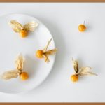 고용량 비타민C, 당신의 건강을 책임질 강력한 무기