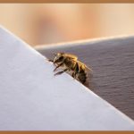 온몸 두드러기, 원인과 해결법 완벽 가이드