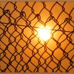 홍이장군, 우리 아이 건강 지키는 비결