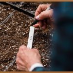 🌳싱그러운 시작, 원예종묘의 모든 것