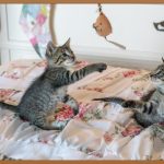 주택경매, 부동산 투자 첫걸음!