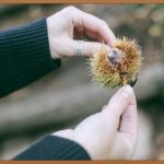 HSK, 지금 바로 시작하세요!