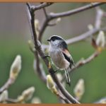 인천 점빼기, 깨끗한 피부 되찾는 여정