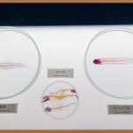 인천 토익, 완벽 대비 전략!