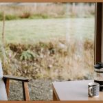 우리집에 푸르름을! 실내조경 초보 가이드