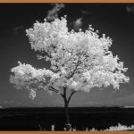 적외선 찜질기, 건강하게 힐링하는 방법