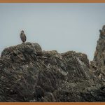 이탈리아 비자, 당신의 꿈을 현실로 만드는 첫걸음