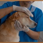 장한평 정형외과, 당신의 건강 파트너