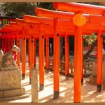 JLPT 시험, 완벽 대비 가이드: 2024년 일정 총정리