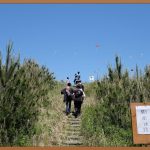 하늘을 수놓는 즐거움, 연날리기의 모든 것