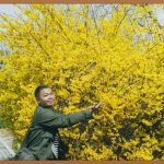 코세아, 승무원 꿈을 현실로 만드는 방법