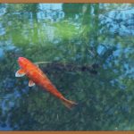 조경기능사, 합격의 문을 여는 첫걸음