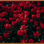 조경기능사 필기, 합격의 지름길!