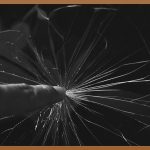 라우어: 당신의 일상을 특별하게 만들어 줄 무료 선물