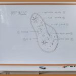 생명과학, 지금 시작해야 하는 이유