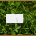 주류회사, 지금이 기회! 성공 전략 A to Z