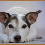 낮은 콧대, 자신감 UP! 콧대 높이는 비법 대공개