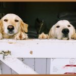 목에 좁쌀, 답답함 이제 안녕! 완벽 해결 가이드