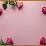 🌹 집에서도 피어나는 아름다움, 미니 장미 키우기 완벽 가이드