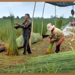 고용노동부 교육, 놓치면 후회할 혜택