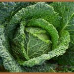 촉촉 피부, 매일 물 마시기? 🤔 물 마시는 습관, 놀라운 비밀!