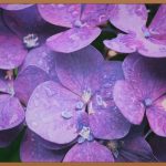 촉촉 피부의 비밀, 수분앰플 완벽 가이드