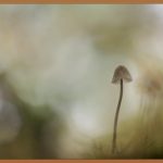 손톱무좀, 이제는 걱정 끝! 완벽 해결 가이드