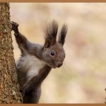 노 원인애 한의원: 당신의 건강, 지금 바로 시작하세요!