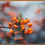 👀 찰나의 아름다움, 원데이 컬러렌즈 완벽 가이드