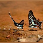 조직행동론, 당신의 팀을 성공으로 이끄는 마법
