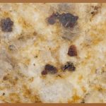 꿀피부 완성! 판테놀 재생크림, 모든 것을 알려드릴게요!