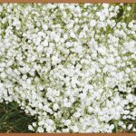 음경필러, 당신의 고민을 시원하게 해결해 드립니다!