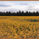 서울, 지금 가장 ‘갈만한 곳’은? 핫플 완전 정복!