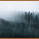 광택기, 내 차를 새 차처럼!