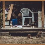 꿀피부 시크릿: 피지팩 완벽 가이드