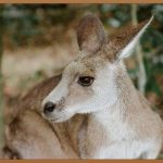 파우치죽, 간편함과 영양을 한 번에!