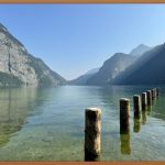 프리메라 오가니언스 워터, 꿀피부의 시작!