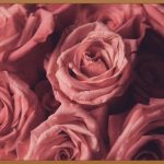 승진, 최고의 선물을 고르는 꿀팁!