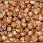 단백질 쿠키, 맛있고 건강하게 즐기는 법!