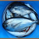 프로틴우유, 건강과 맛을 모두 잡는 선택!