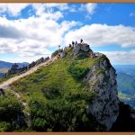 체험단, 득템 기회? 솔직 후기 공개!